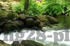 今天中超足球比分-中超烽火再燃，今夜比分背后的激情与思考