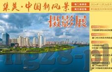 里昂女子足球比分-绿茵玫瑰绽放，里昂女子足球比分背后的荣耀与传奇